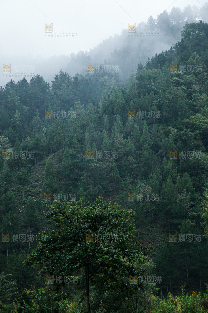深山风景 云海