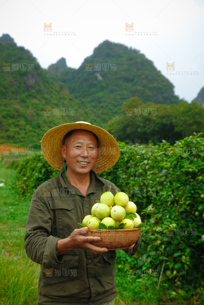 百香果产地