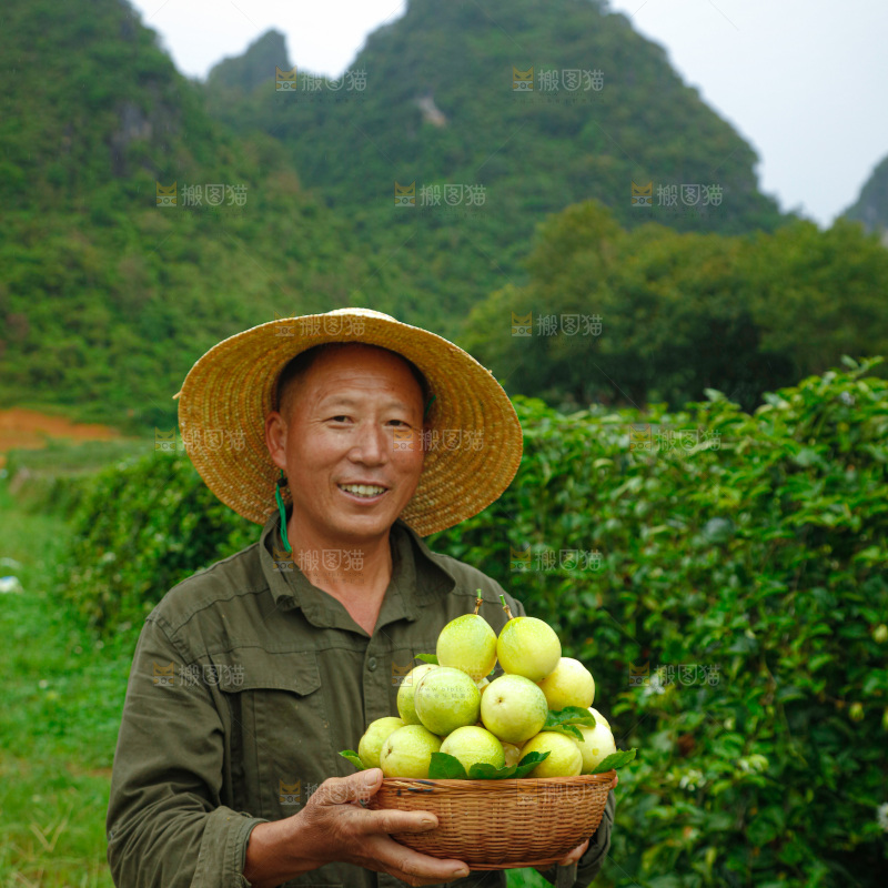 百香果产地