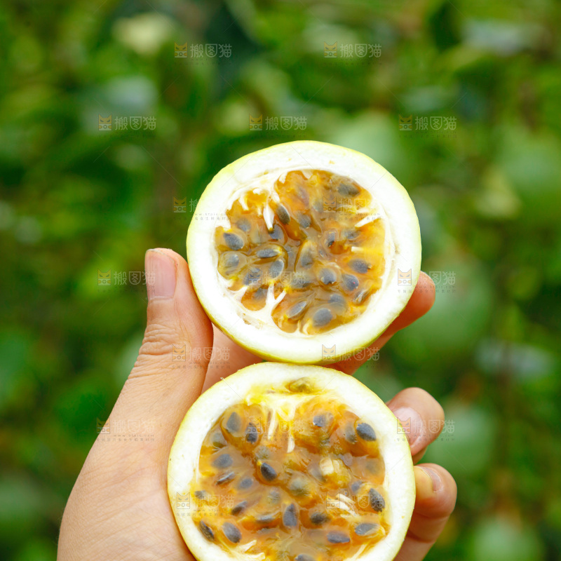 百香果产地