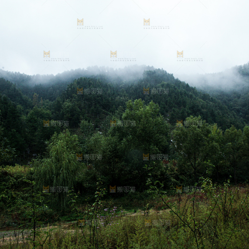 深山风景 云海