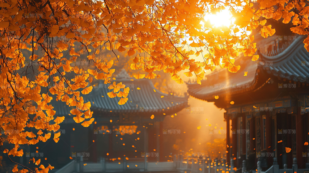 秋日落叶景观场景建筑素材