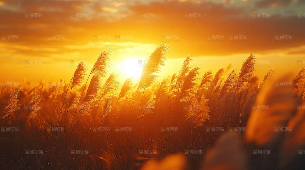 秋日落叶景观场景建筑素材