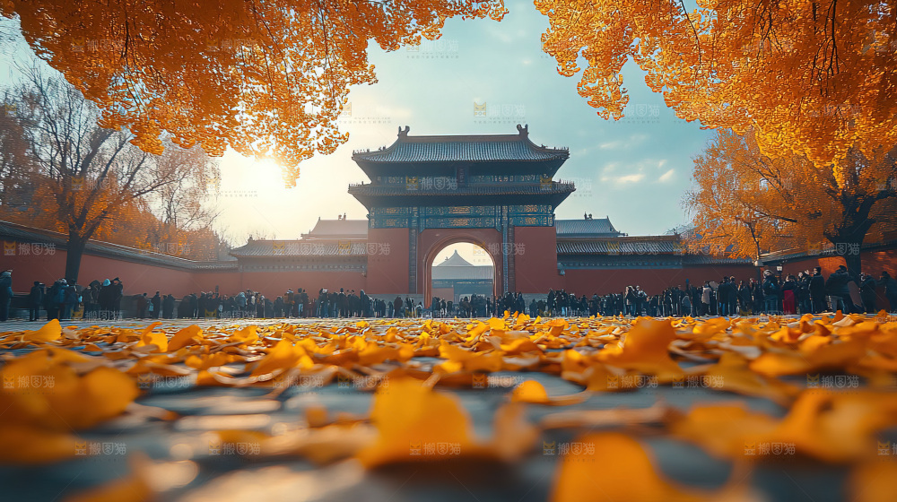 秋日落叶景观场景建筑素材