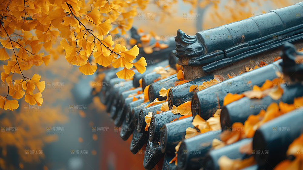秋日落叶景观场景建筑素材
