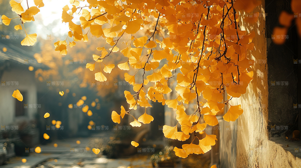 秋日落叶景观场景建筑素材