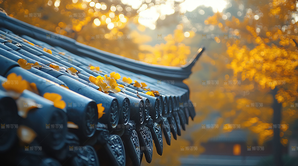 秋日落叶景观场景建筑素材