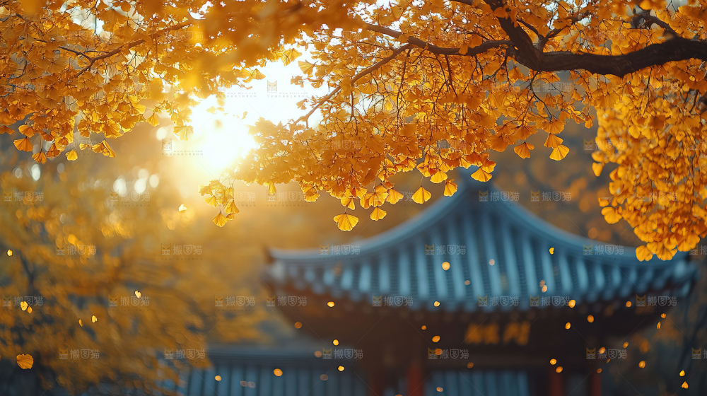 秋日落叶景观场景建筑素材