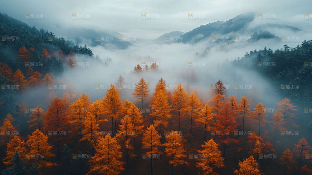 秋日落叶景观场景建筑素材