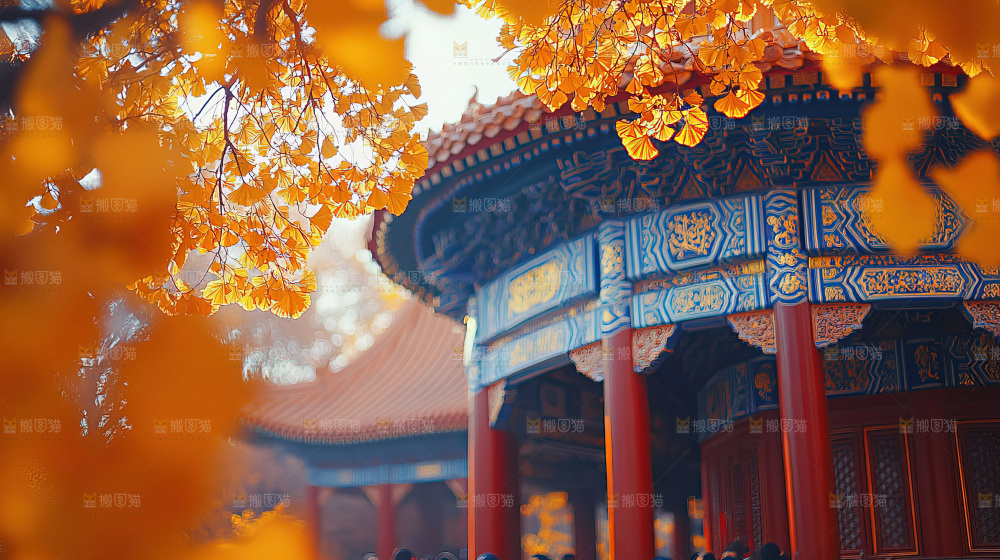秋日落叶景观场景建筑素材