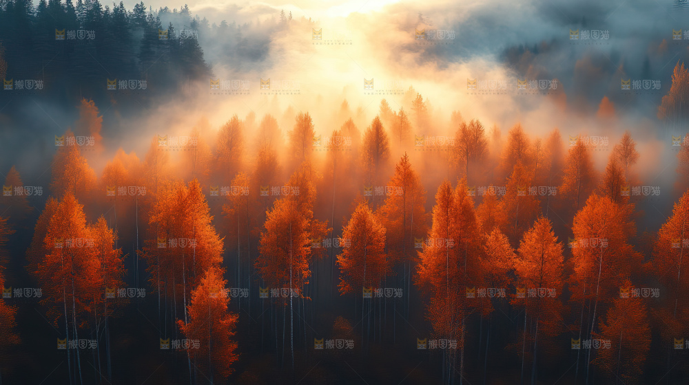 秋日落叶景观场景建筑素材
