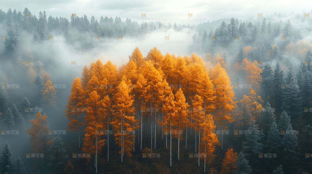 秋日落叶景观场景建筑素材