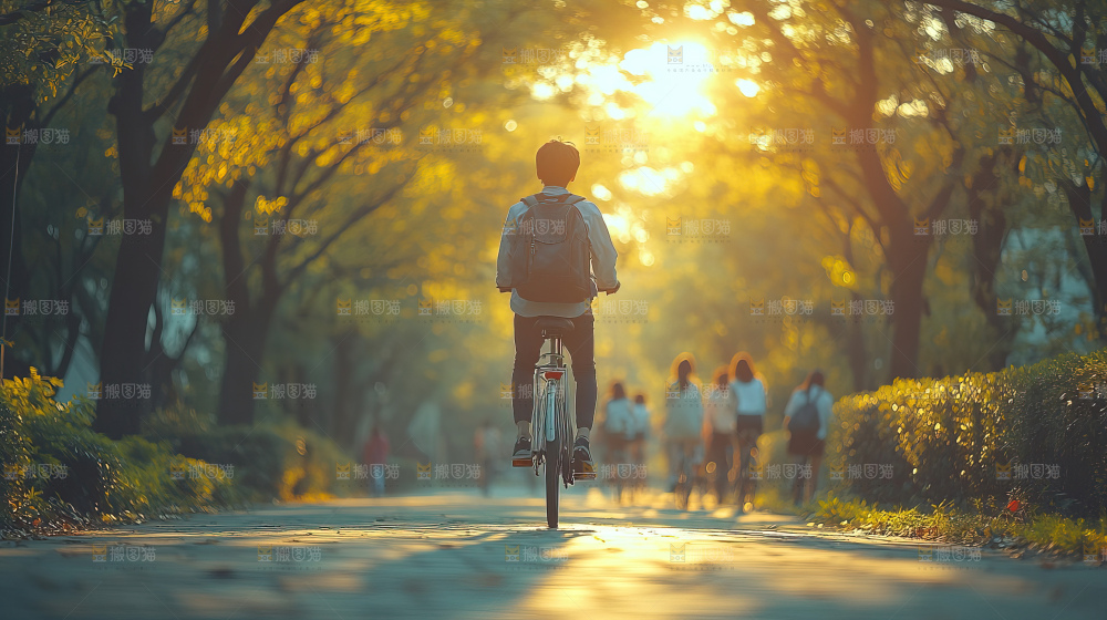 校园林荫小道上的学生