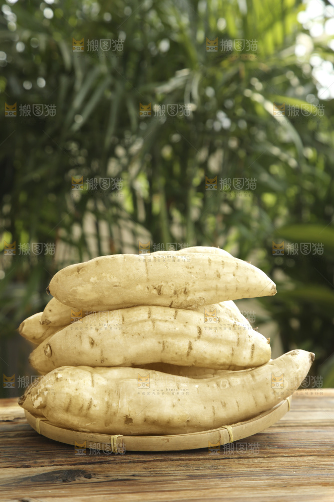 白皮人参薯