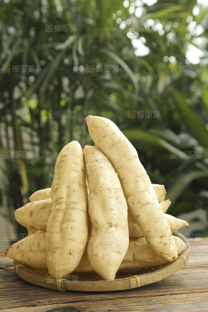 白皮人参薯
