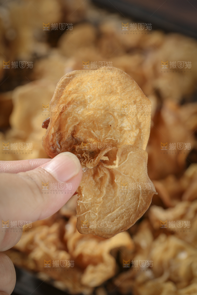 羊肚耳