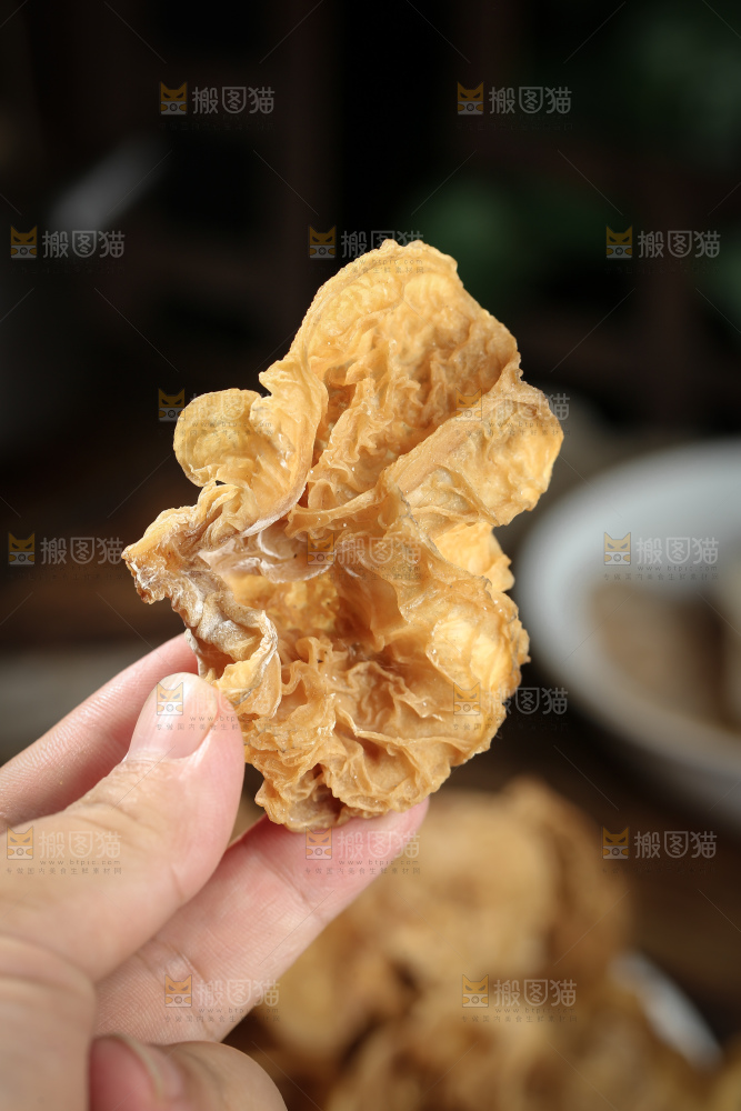 羊肚耳