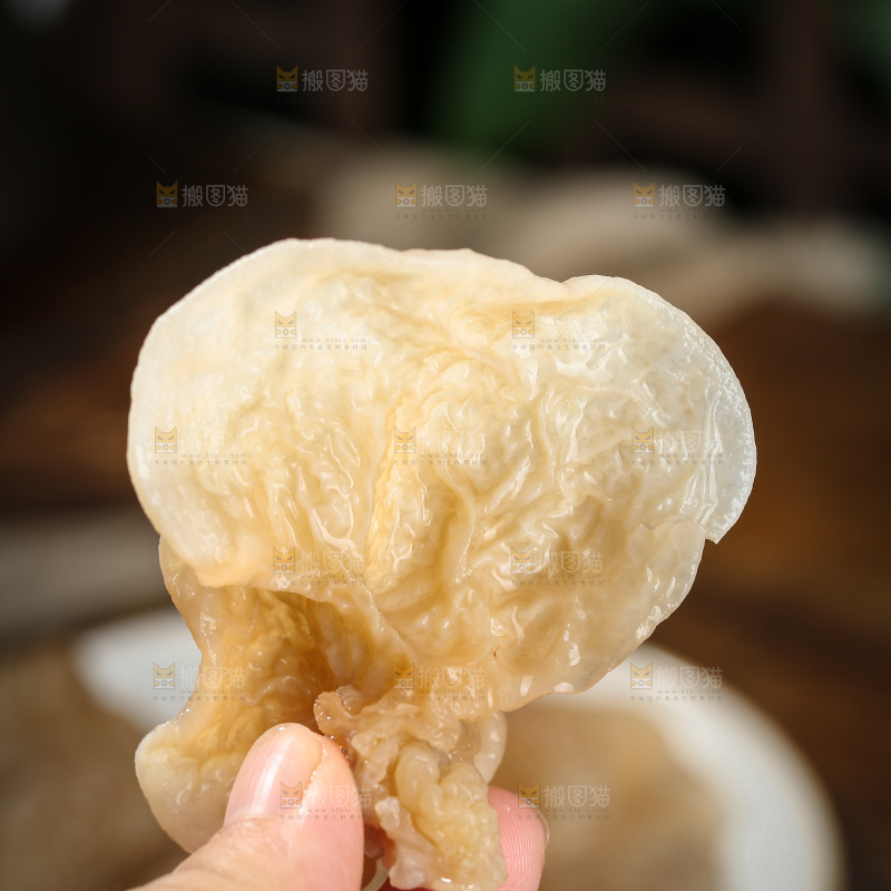 羊肚耳