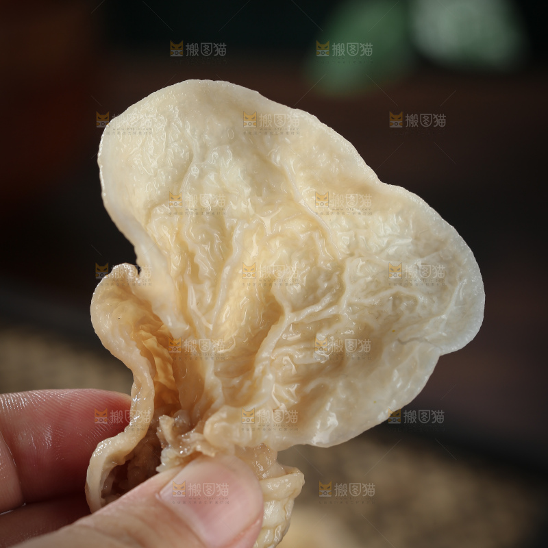 羊肚耳