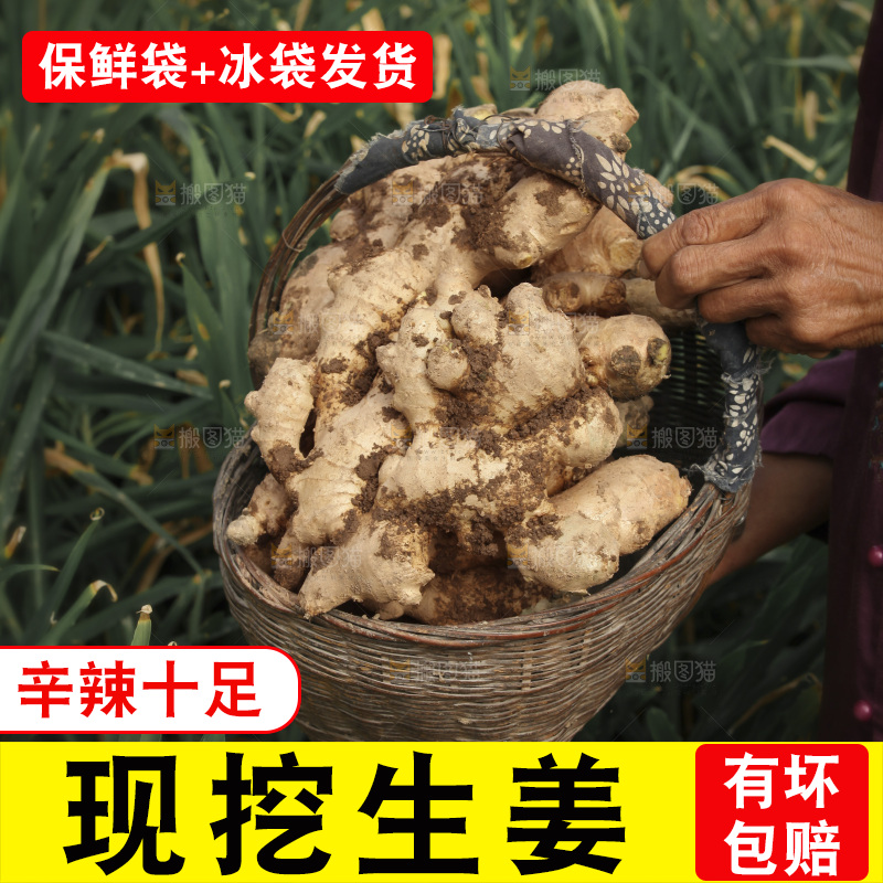 生姜