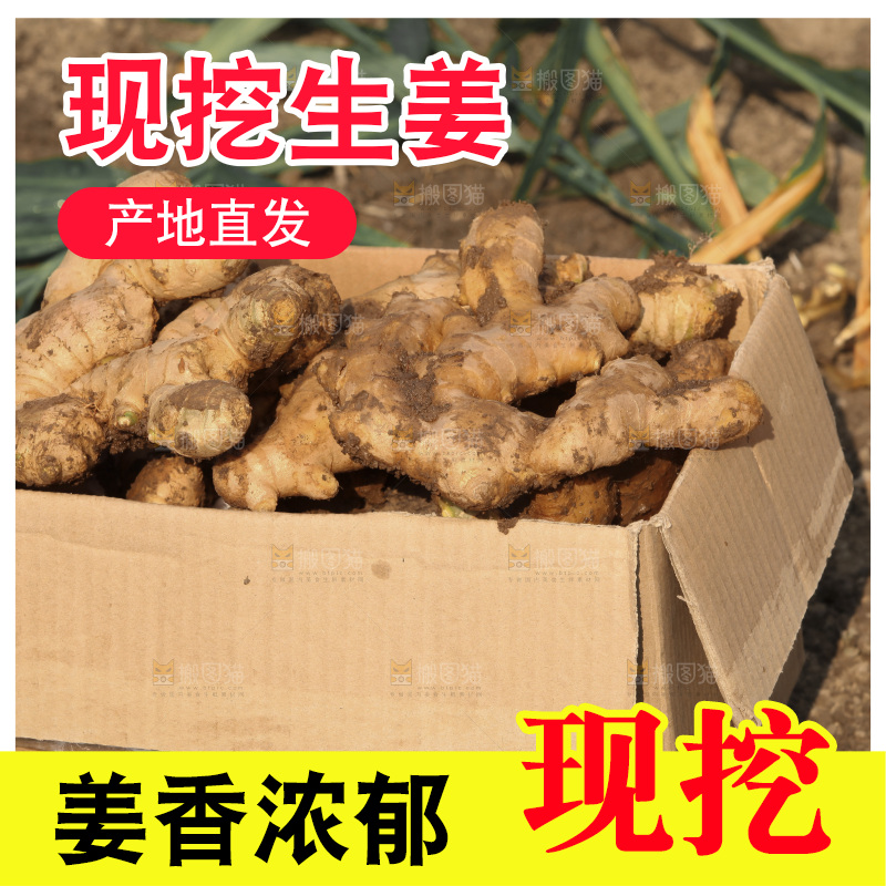 生姜