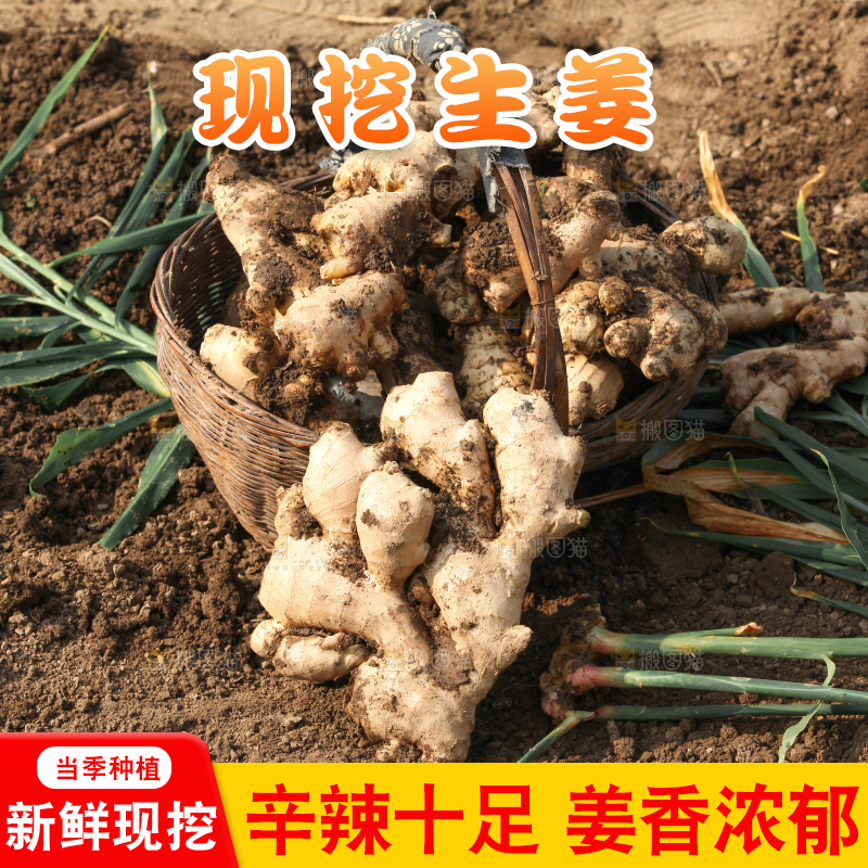 生姜