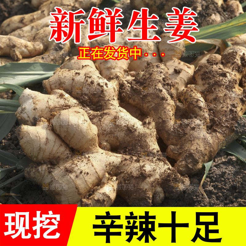 生姜