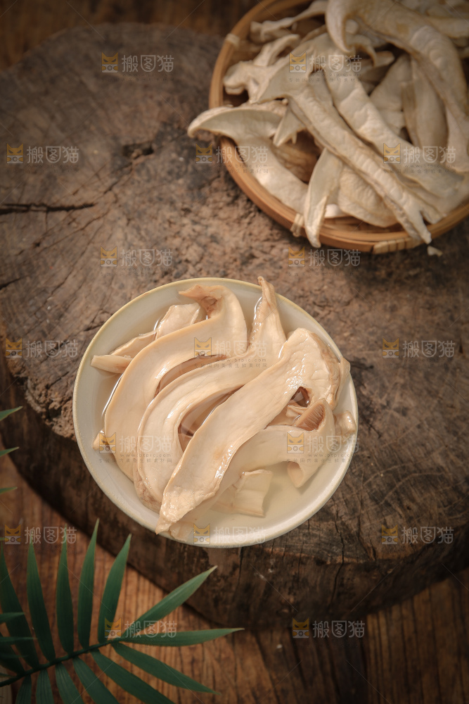 白松茸