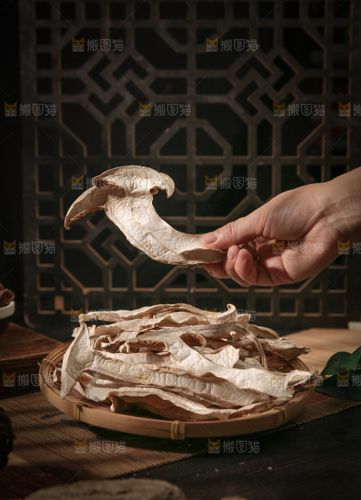 白松茸