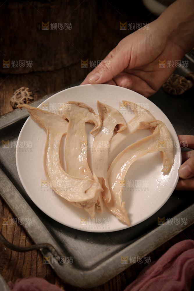 白松茸