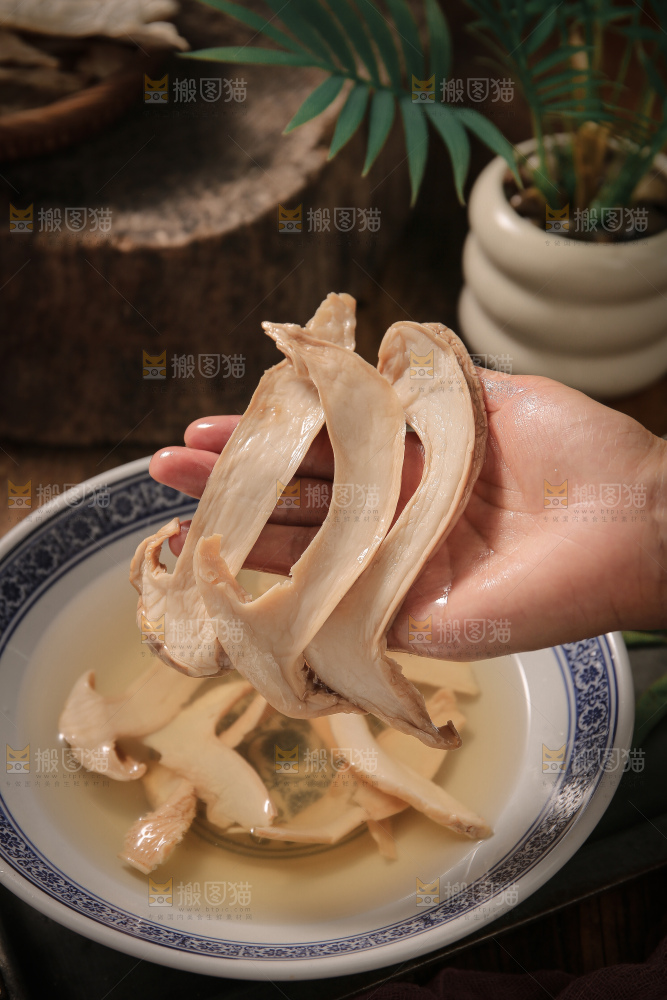 白松茸