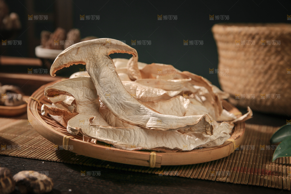 白松茸