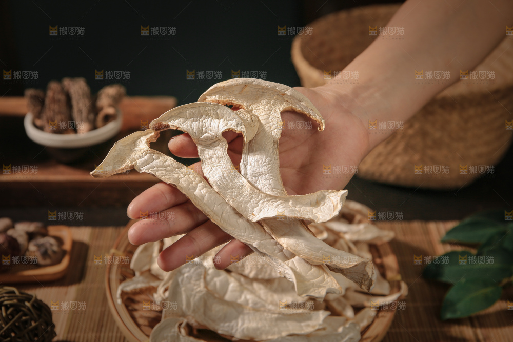 白松茸