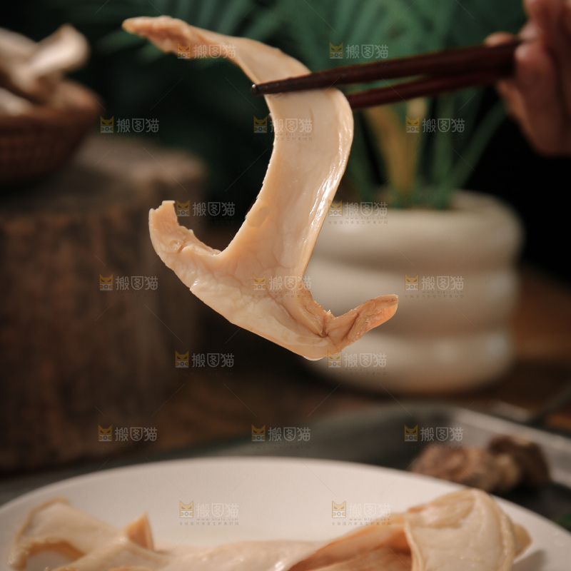 白松茸