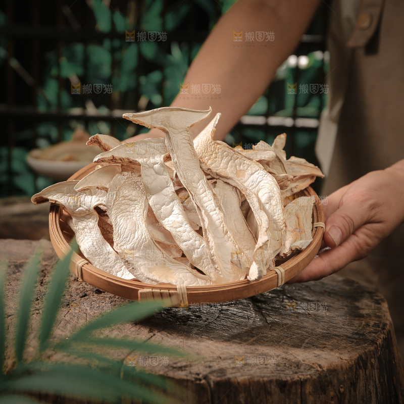 白松茸
