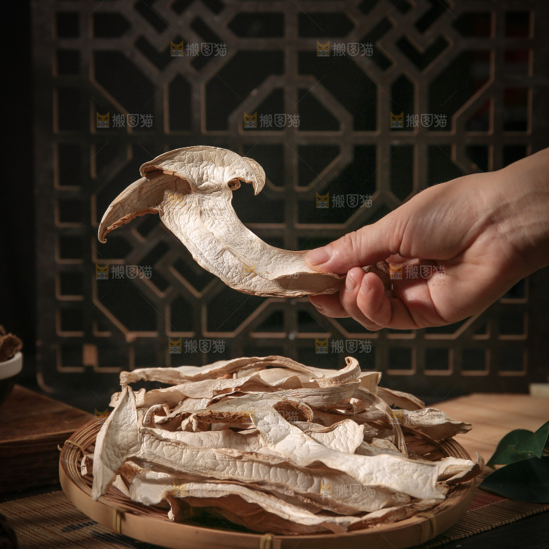 白松茸