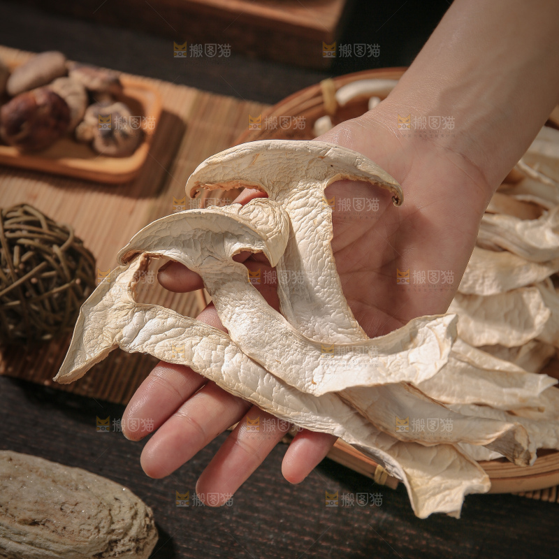 白松茸