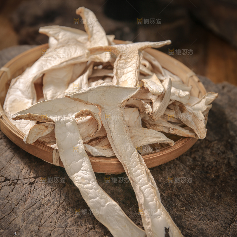 白松茸