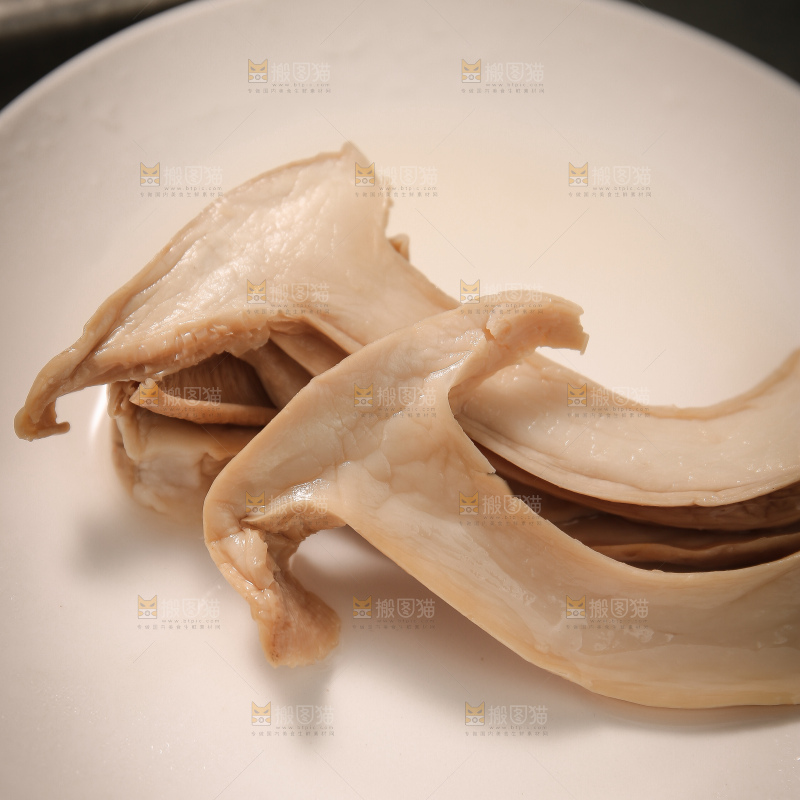 白松茸