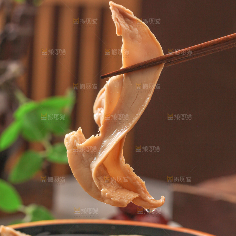 白松茸