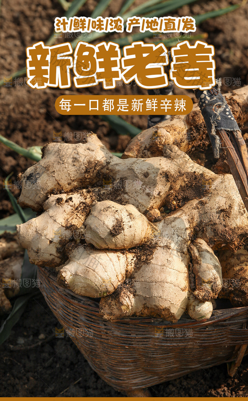 生姜详情页