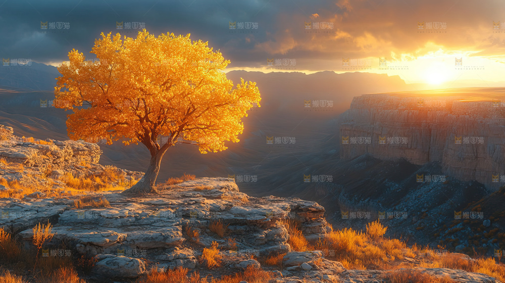 戈壁风光胡杨林自然宁静秋天