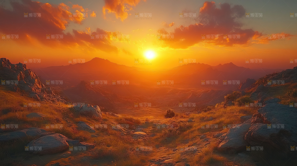 戈壁风光胡杨林自然宁静秋天