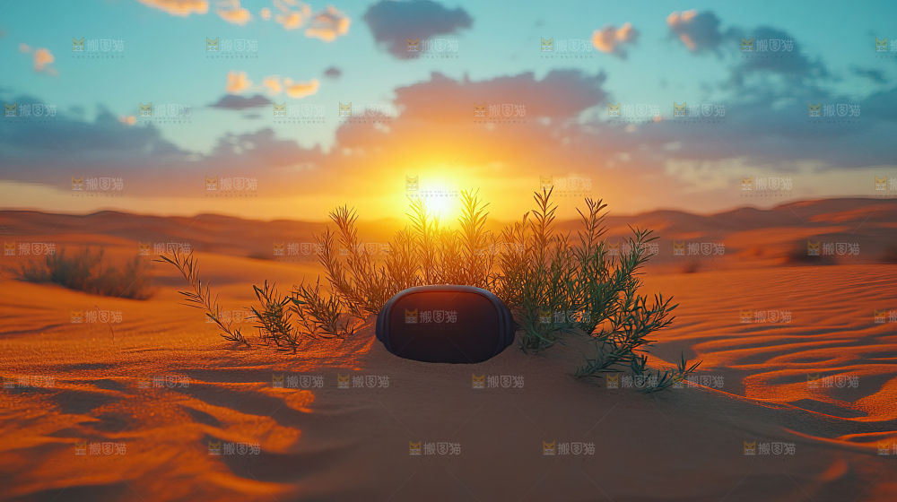 沙漠 自然 景观 绿进沙退