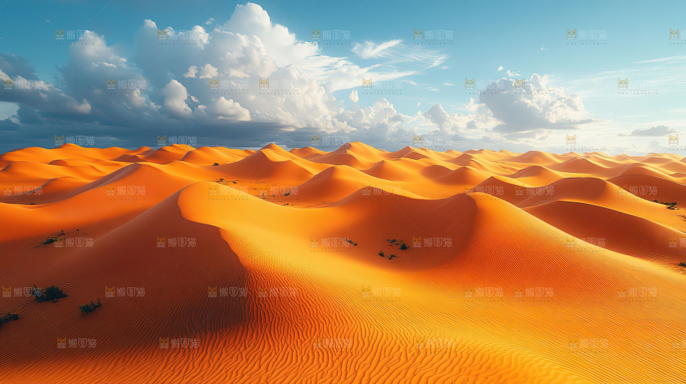 沙漠 自然 景观 绿进沙退