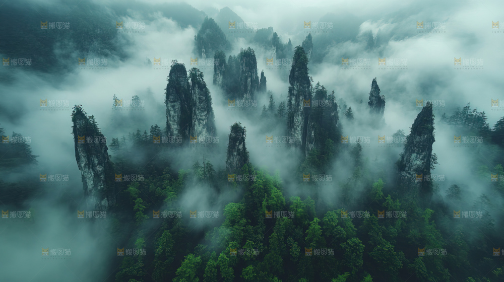 石林 云海 自然景观 大美中国
