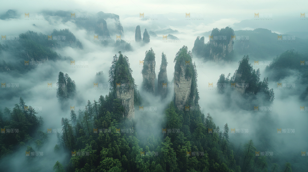 石林 云海 自然景观 大美中国