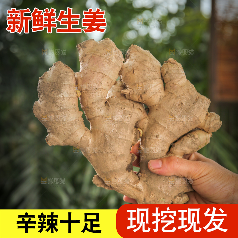 生姜