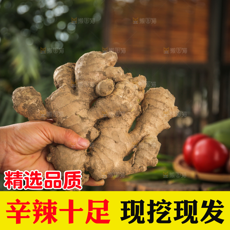 生姜