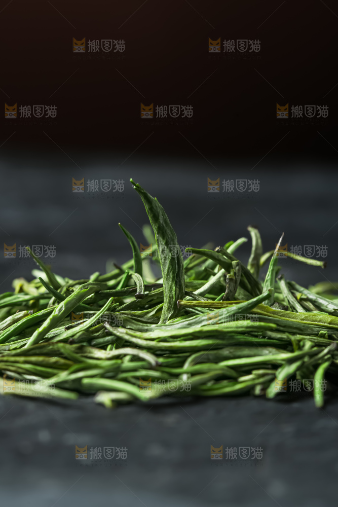 雀舌